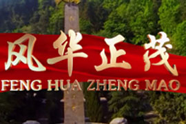 网络电视节目标题